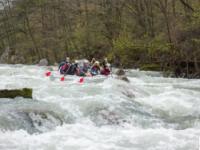 Rzav Regata 2015