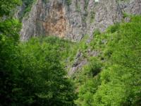 Explore RZAV / istrazivacka akcija