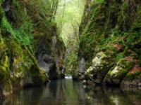 CANYONING, Kanjon Visoke, Veliki Rzav - 25.04.2011.