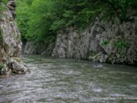 Veliki Rzav 23.05.2010.
