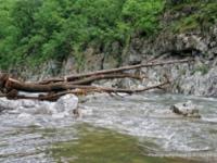 Veliki Rzav 23.05.2010.