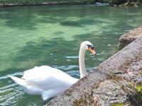 Neretva, Sarajevo, Vrelo Bosne 06-07.04.2018