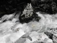 Rzav, Visočka banja-Radoševski kanjon-Kruščica (Gureši), 04.07.2020