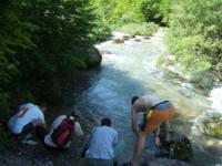 Lim 09-10.06.2012