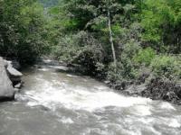 Ibar, Brezanska reka 03.06.2017