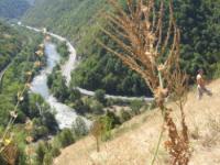 Ibar / Maglic - 08.09.2012
